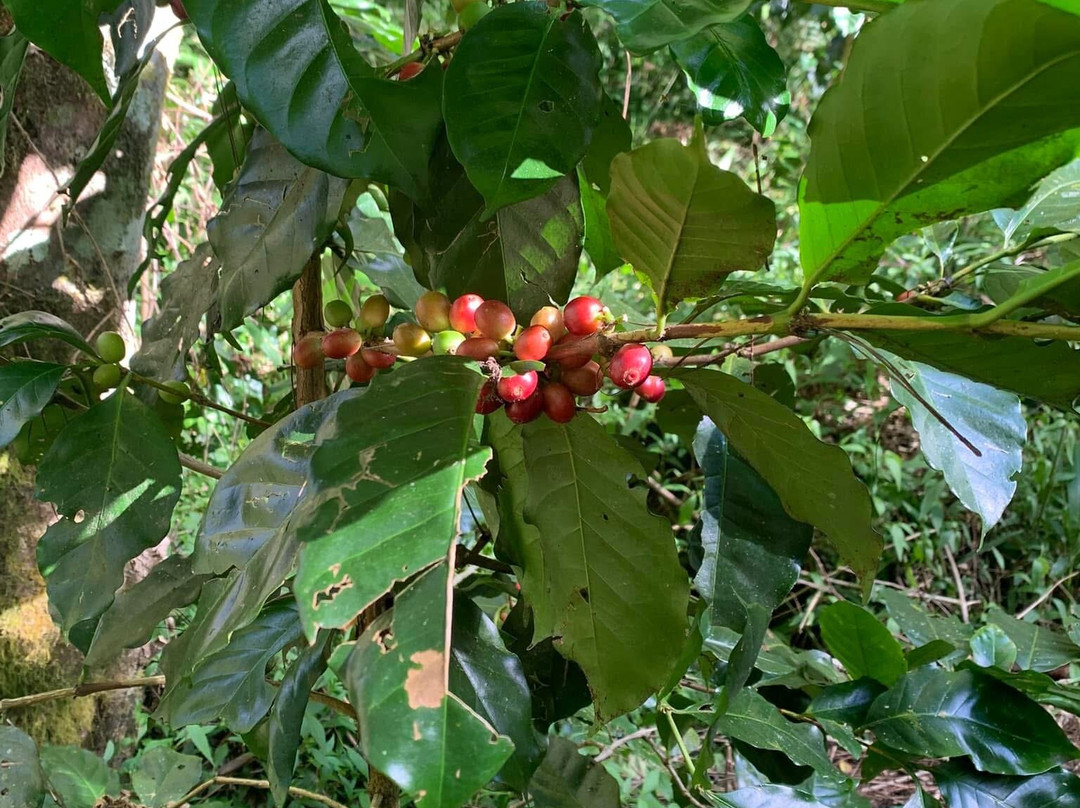 Sagada, Philippines-萨加达必去景点