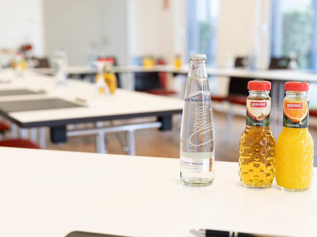 Plaza Inn Dachau Munich主图