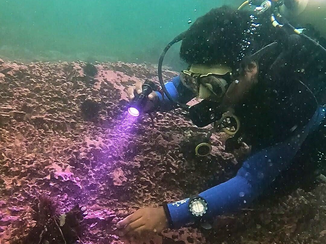 Sb Divers-利马必去景点