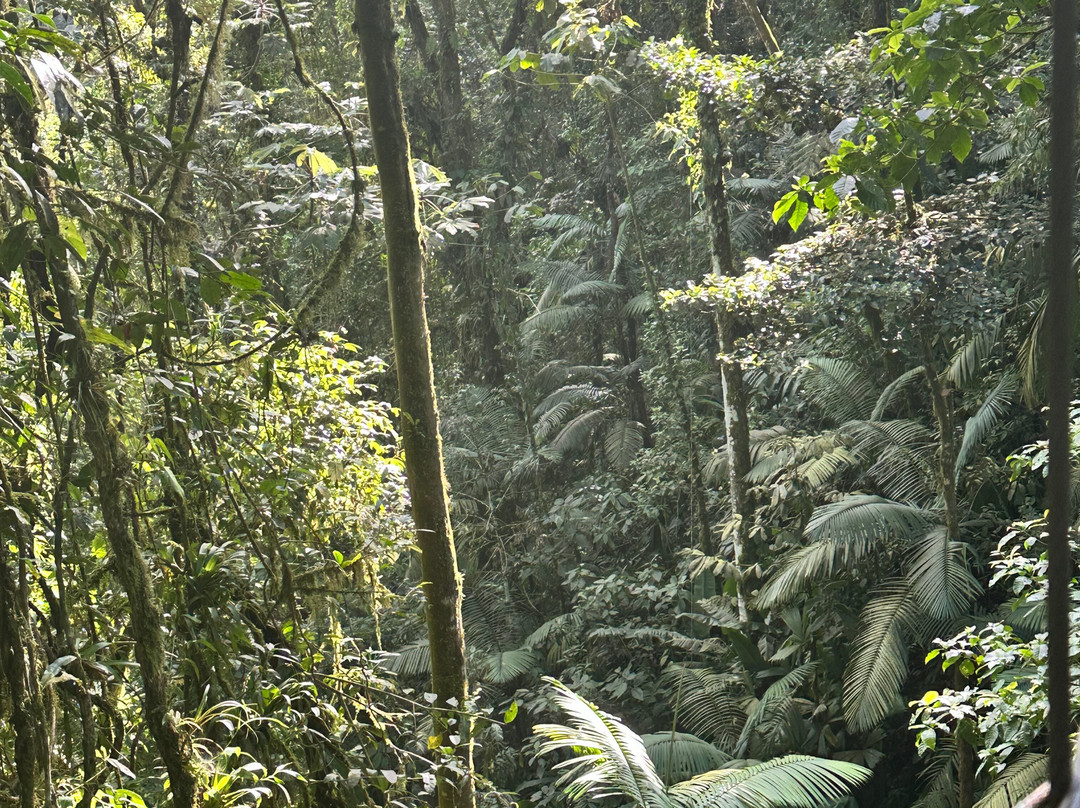 Costa Rica One On One Tours景点图片