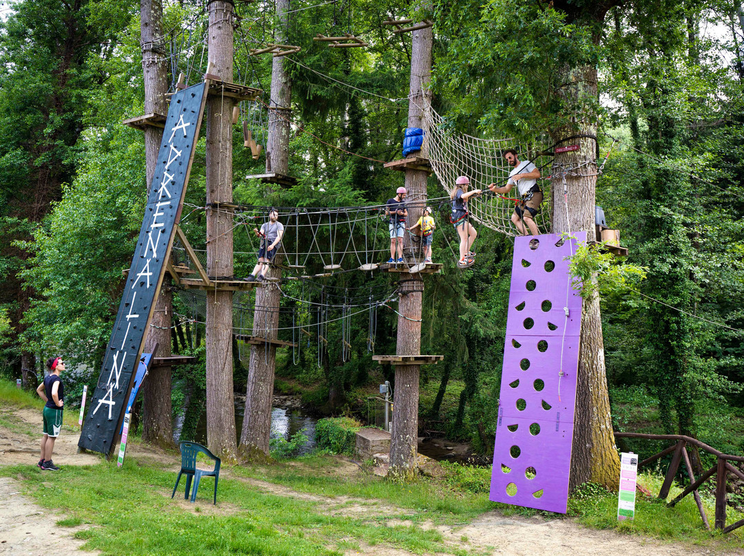 Associazione Adrenalina Parco Avventura Casentino景点图片