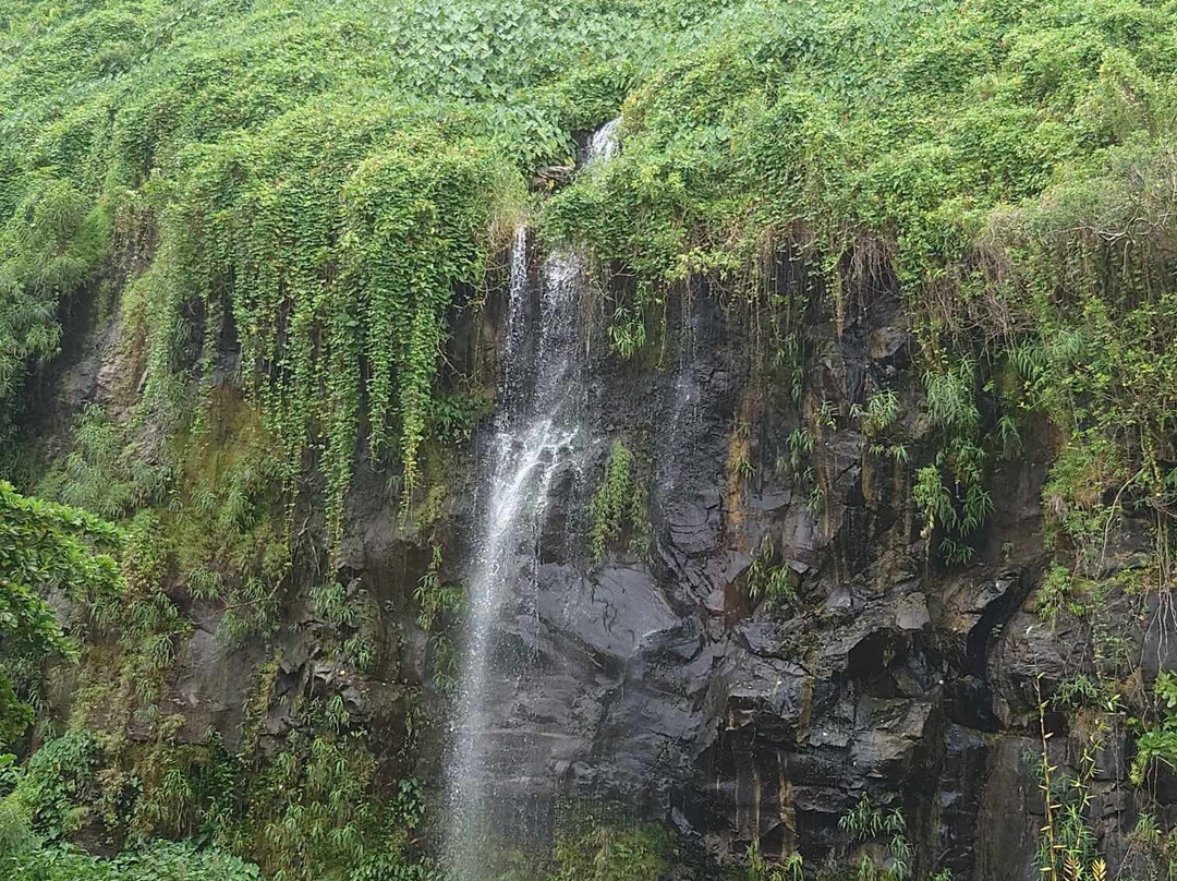 Anna guide touristique-留尼旺圣皮耶必去景点