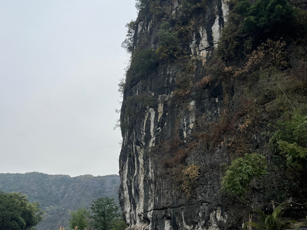 Good Morning Ninh Binh Tours景点图片