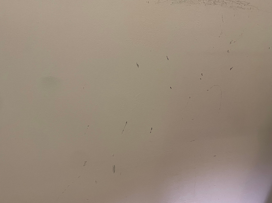 One Shot Reina Victoria主图