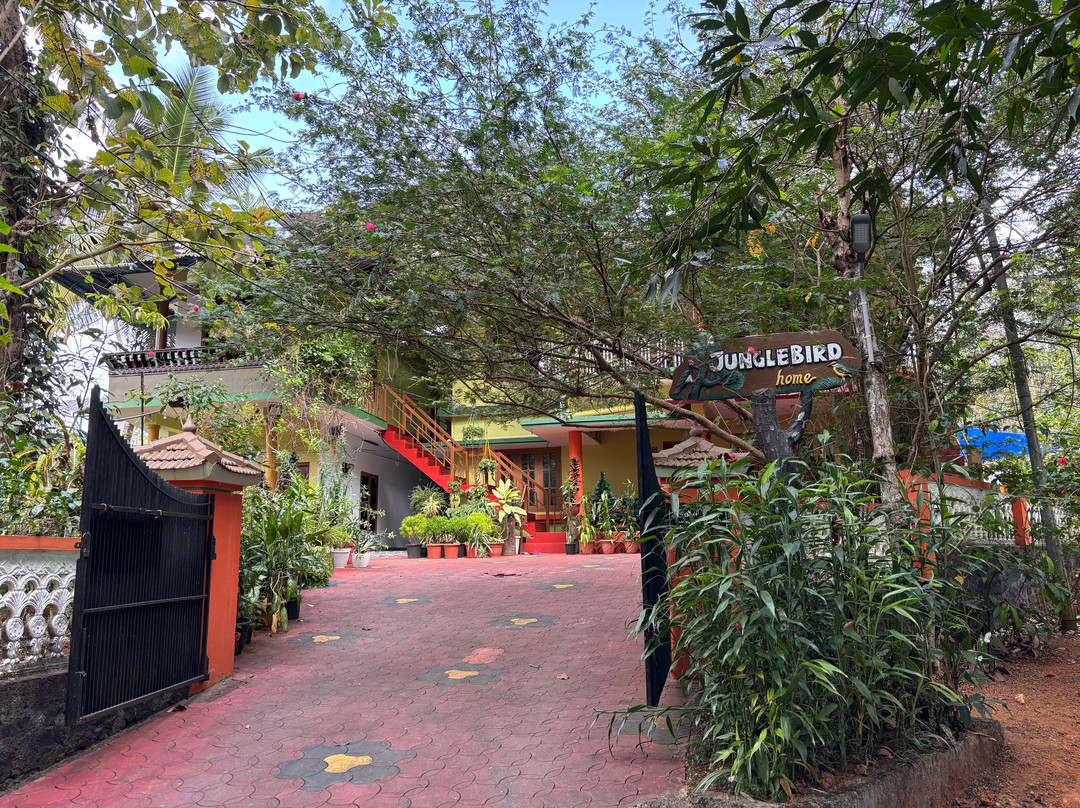 Jungle Bird Homestay主图