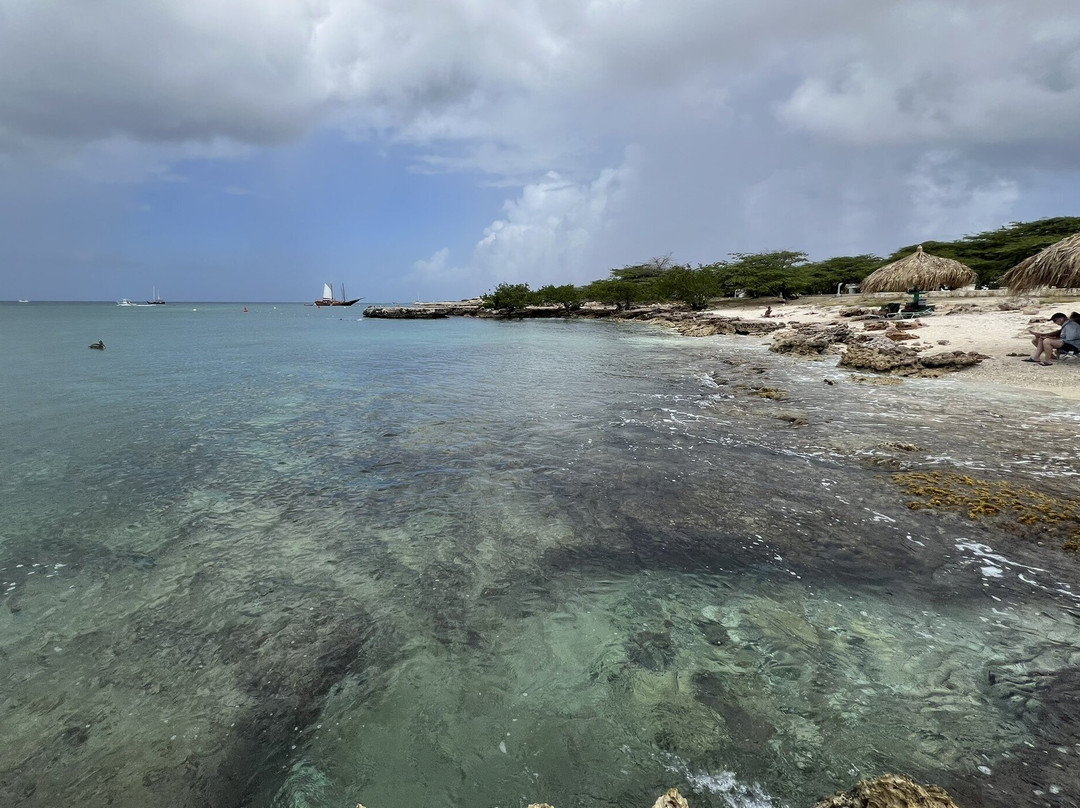 Malmok Reef-棕榈/鹰海滩必去景点