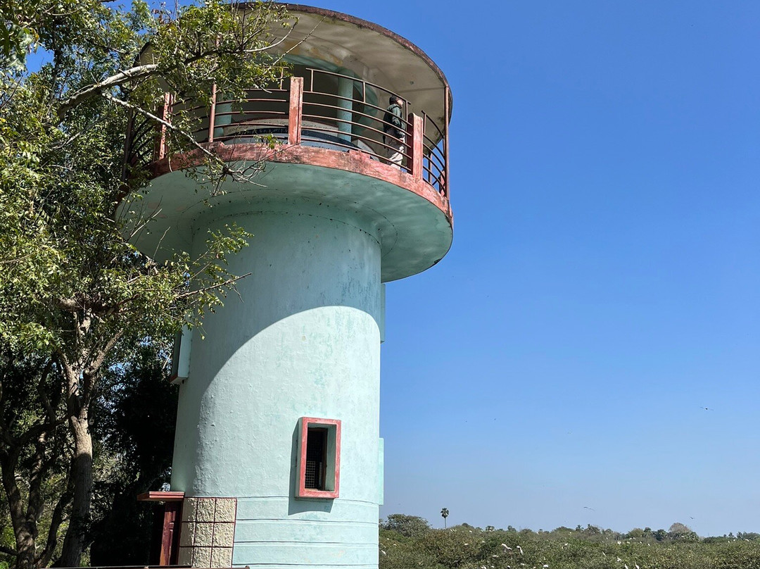 Vedanthangal Bird Sanctuary景点图片