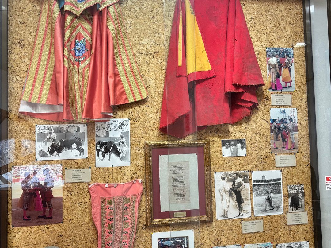 Plaza de Toros Alicante景点图片