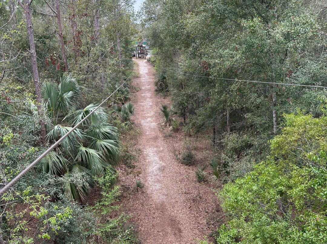 Orlando Tree Trek Adventure Park景点图片