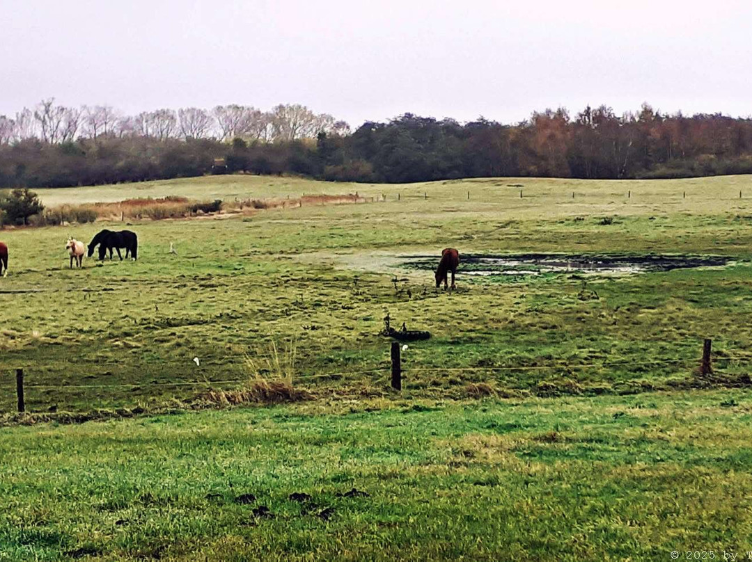 Naturerlebniszentrum (NEZ)景点图片