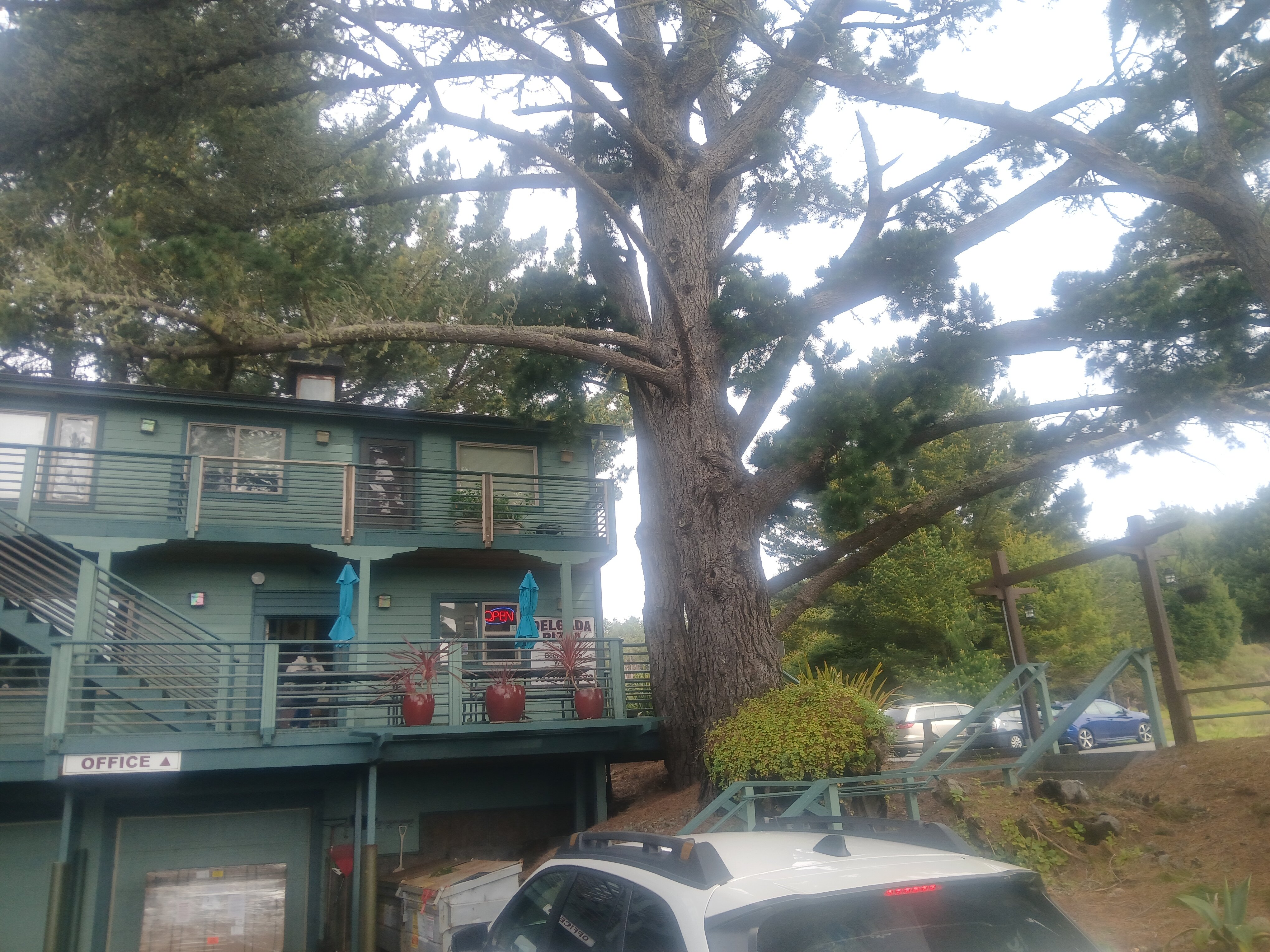 Inn Of The Lost Coast-官方