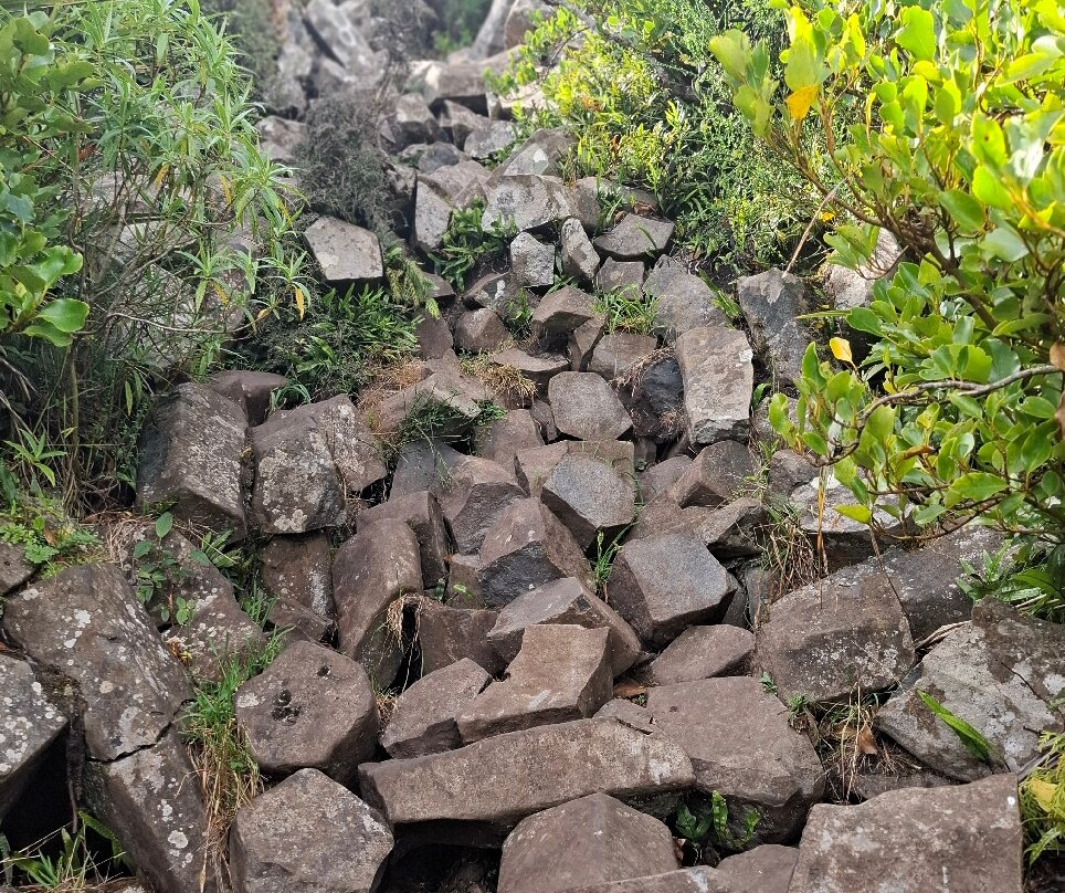 Organ Pipes Track-但尼丁必去景点