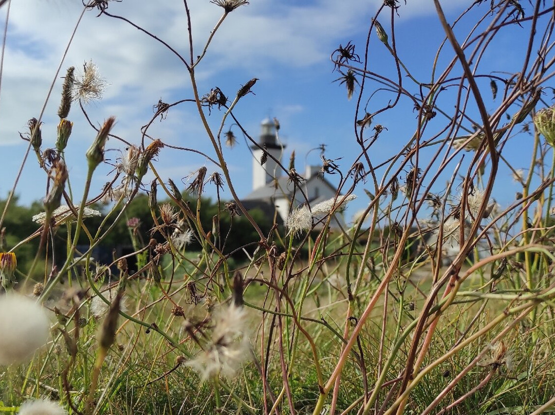 Phare de Pontusval景点图片
