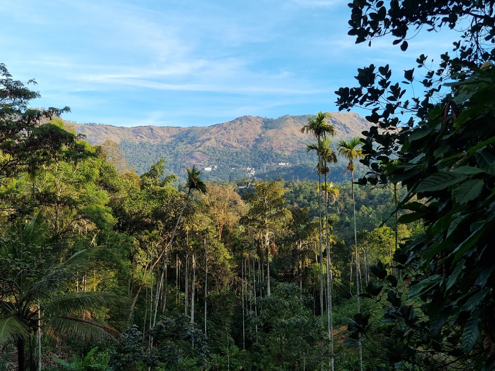 Santhi Hill View Resort-官方