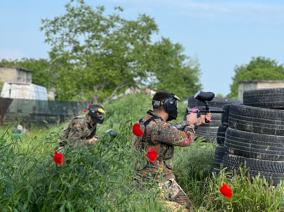 Arena Paintball Timisoara景点图片