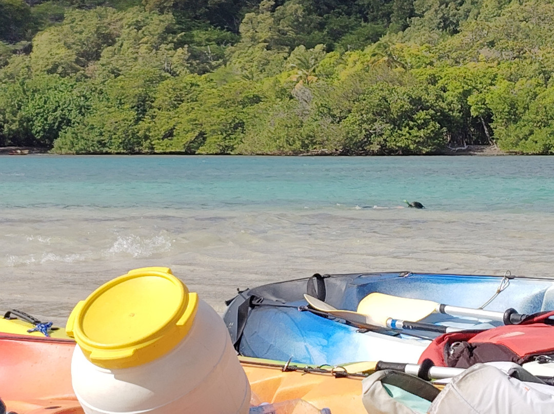 Madinina Kayaks景点图片