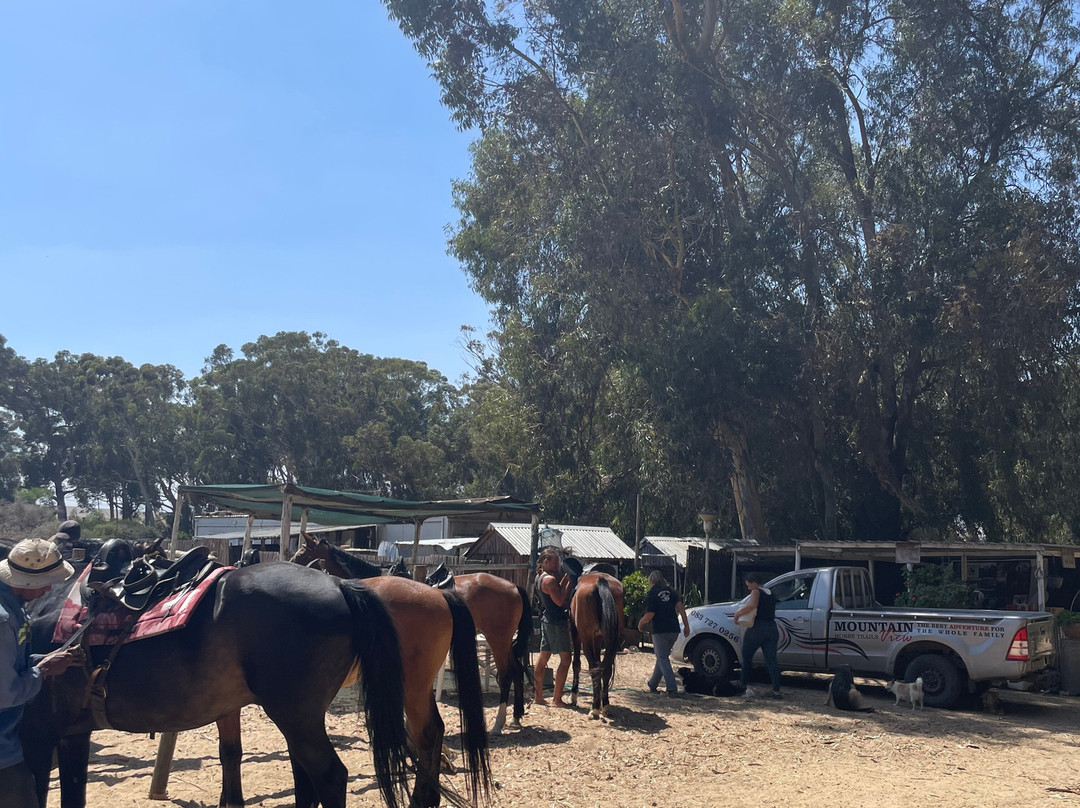 Mountain View Horse Trails-开普敦中心区必去景点