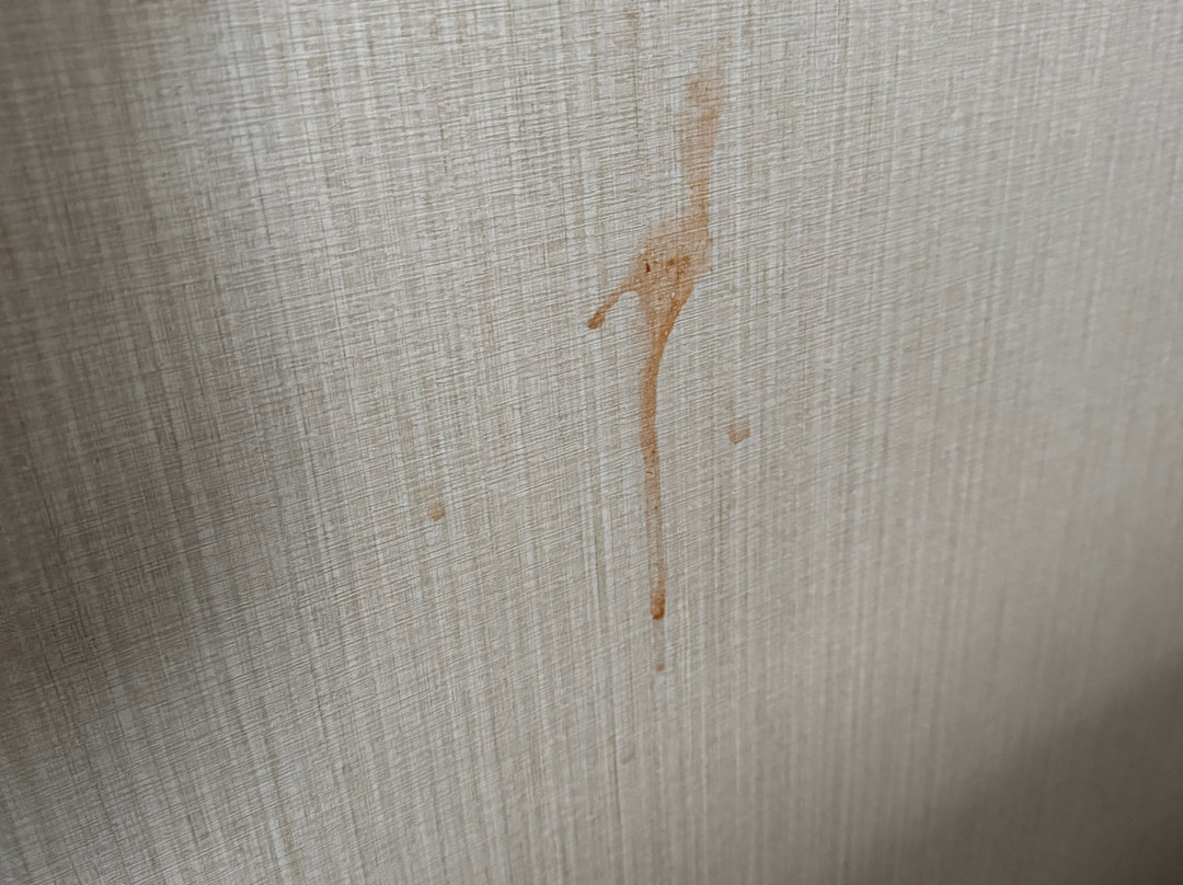 Doubletree By Hilton Chicago Wood Dale - Elk Grove主图