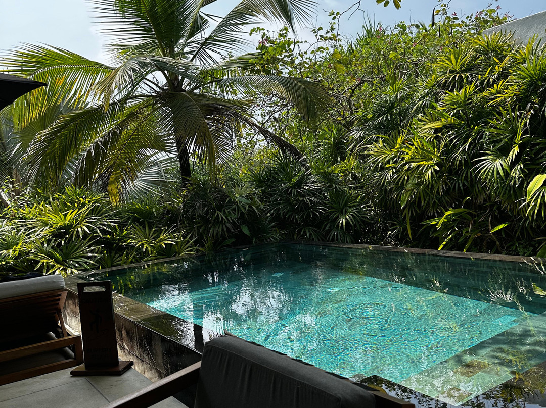 Haritha Villas & Spa主图