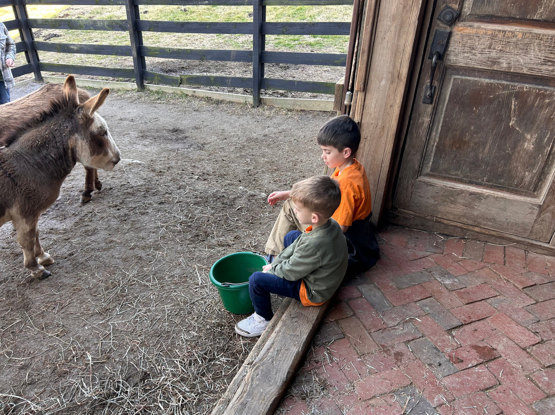 Coleman Valley Alpaca Farm