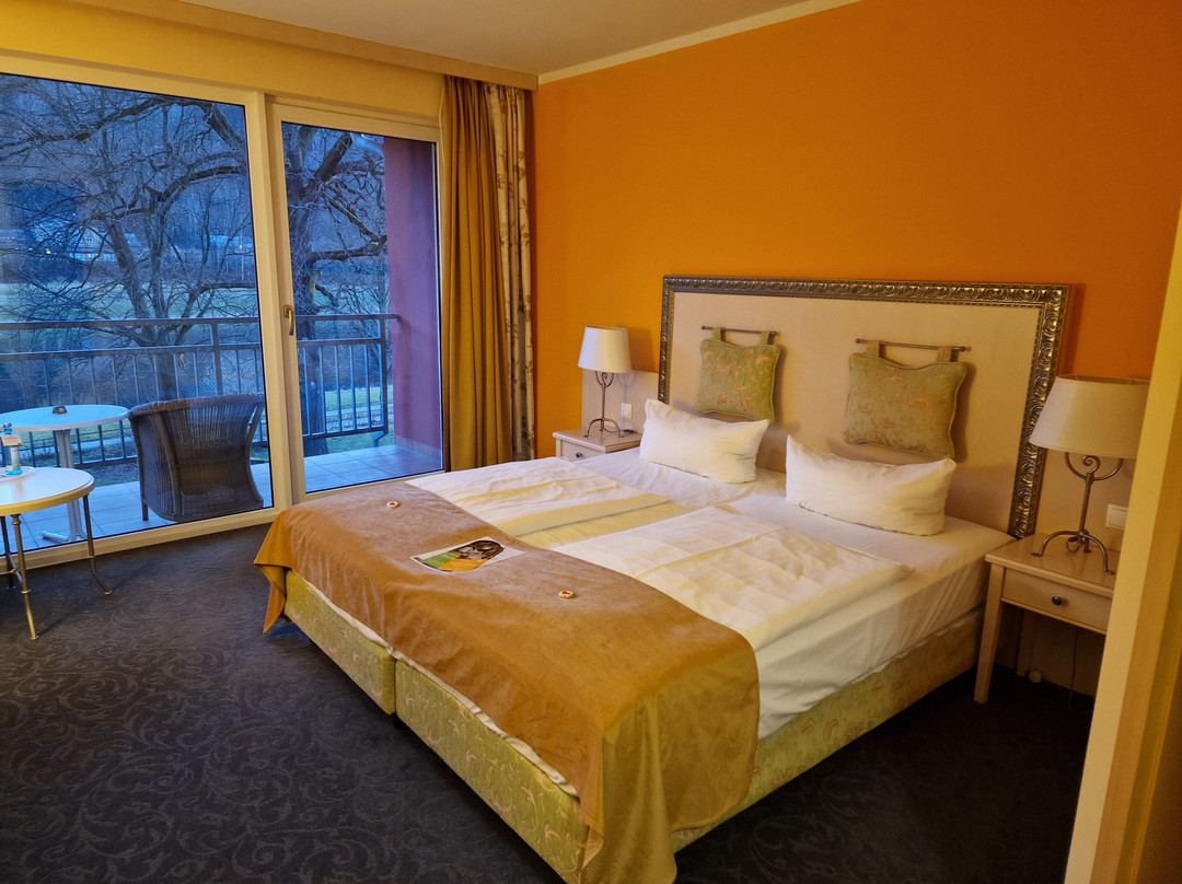 Parkhotel Bad Schandau主图