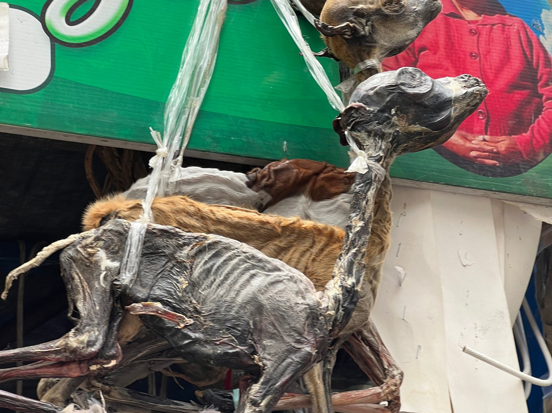 Mercado de Las Brujas-拉巴斯必去景点