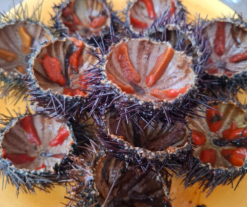 Hostal La Llagosta主图