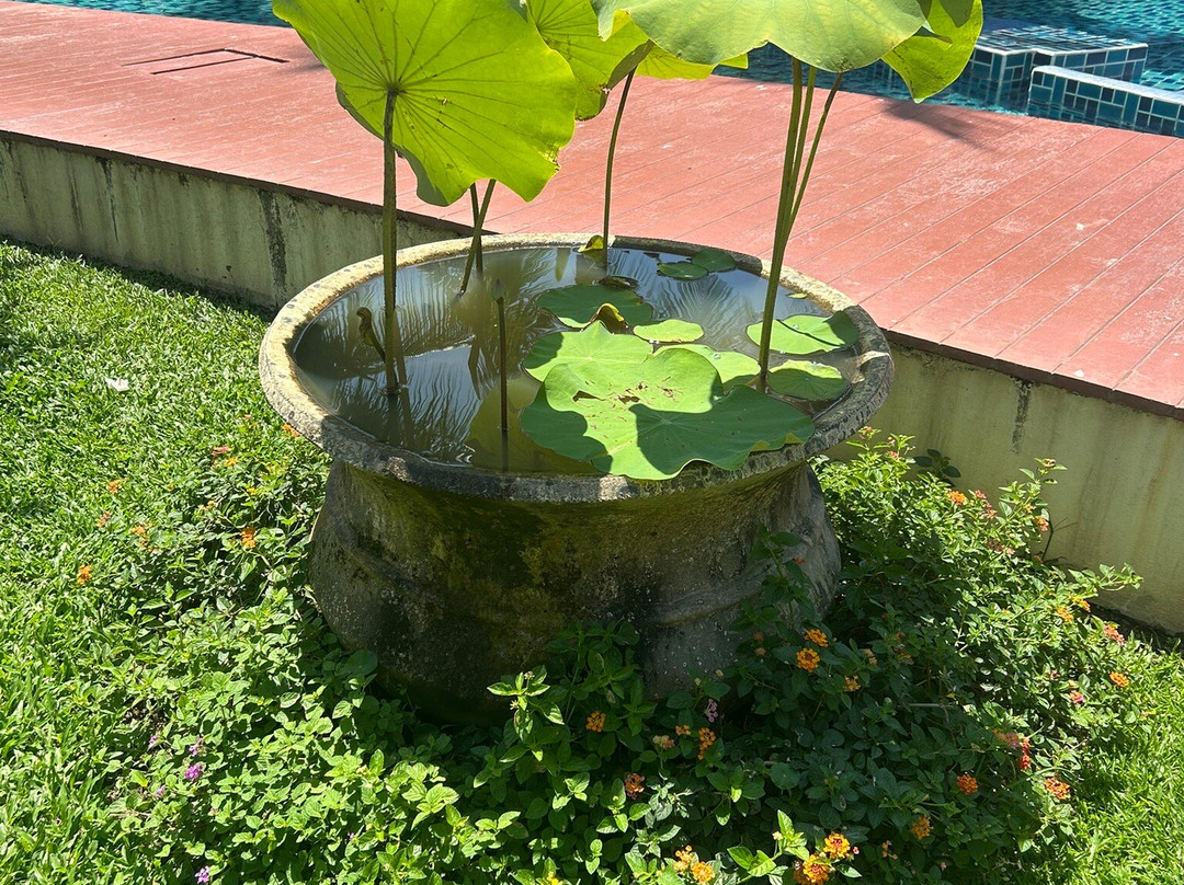 麦摩度假村主图