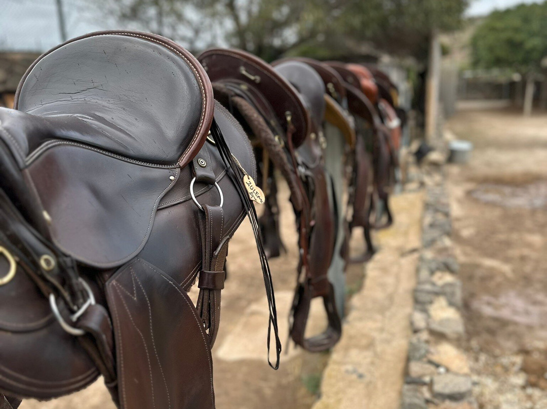 Cabacci Horse Trails景点图片