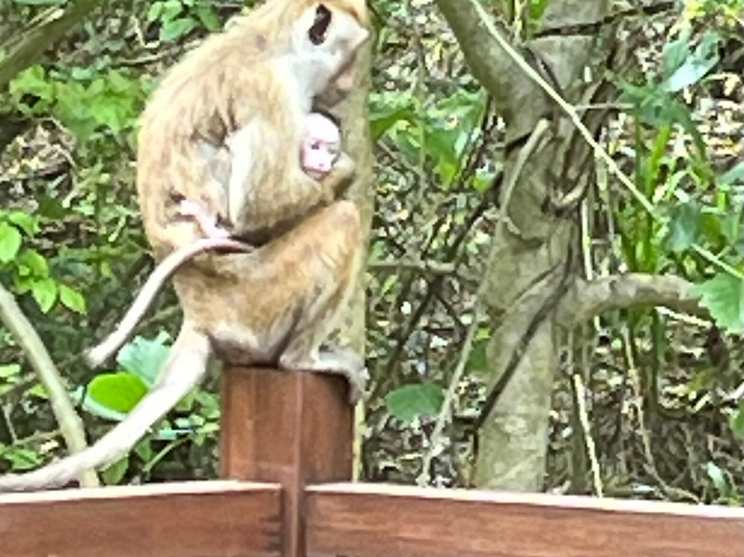 威乌亚纳杰威酒店主图