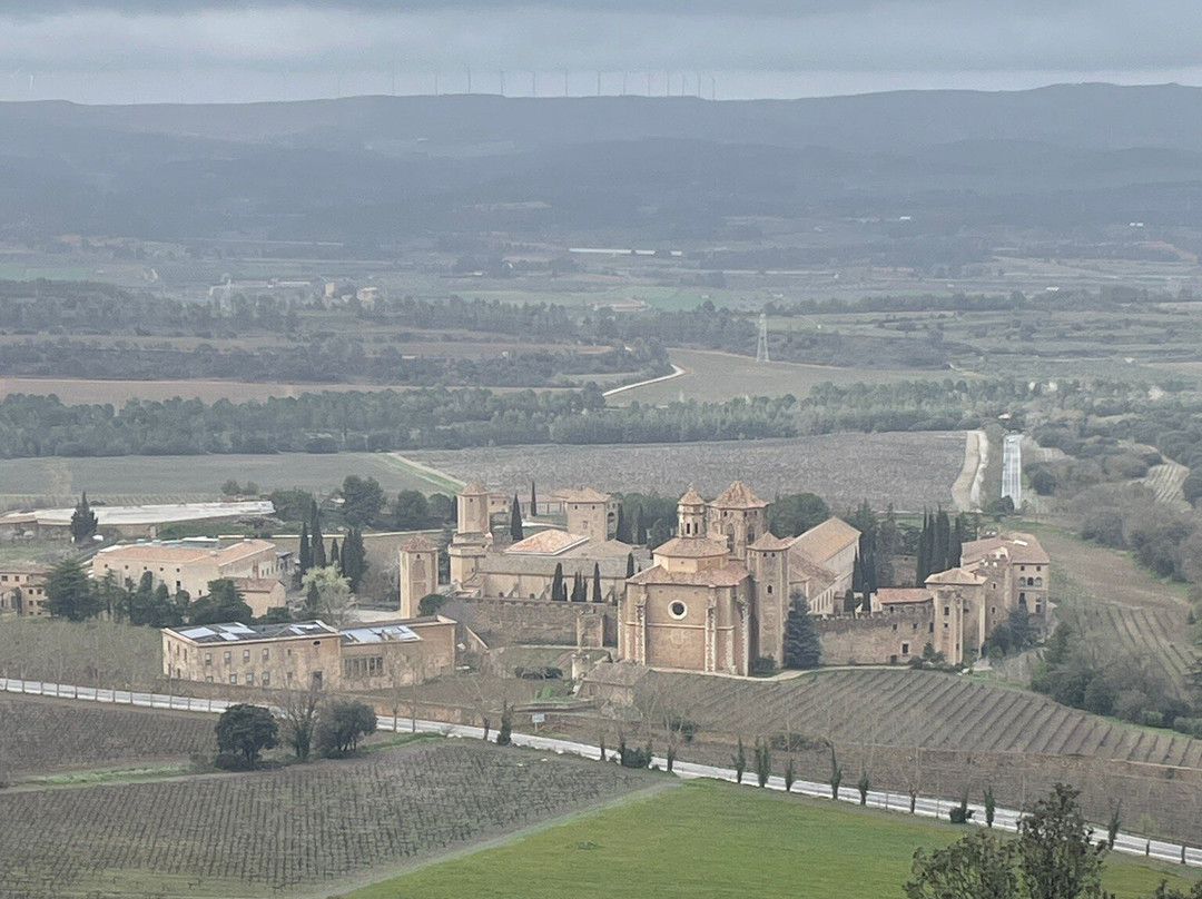 Villa Engracia Hotel & Apartamentos Rurales主图