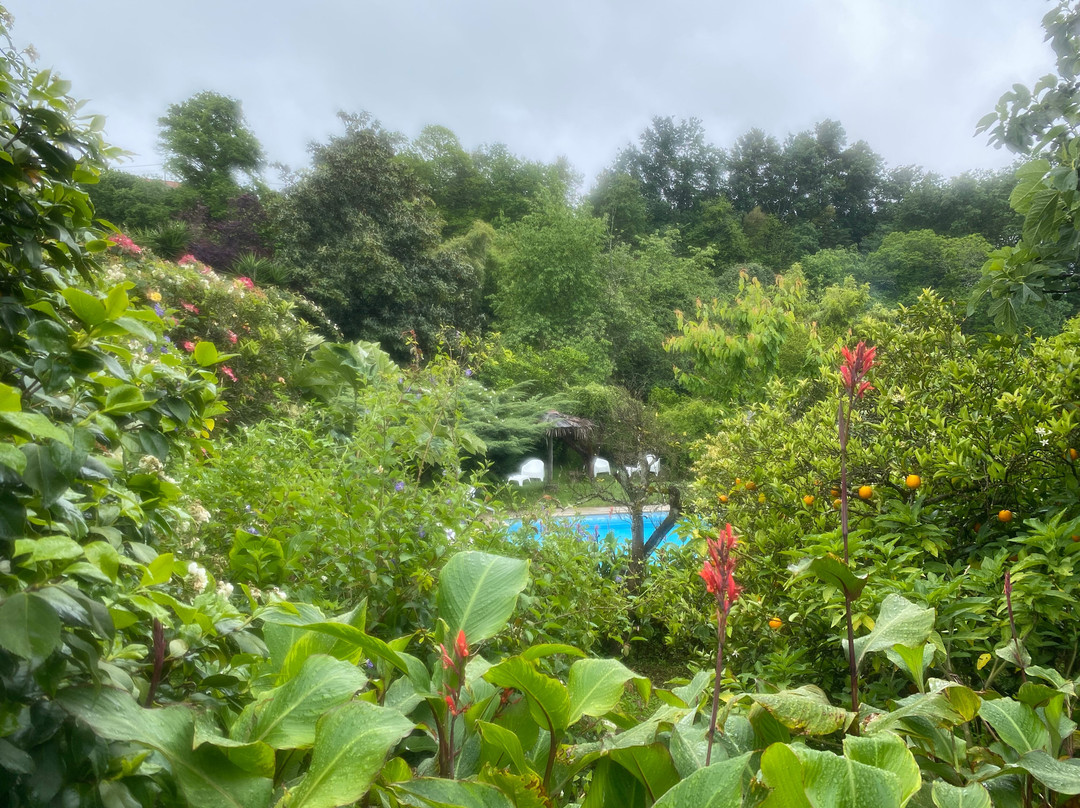 Quinta de Ribas主图