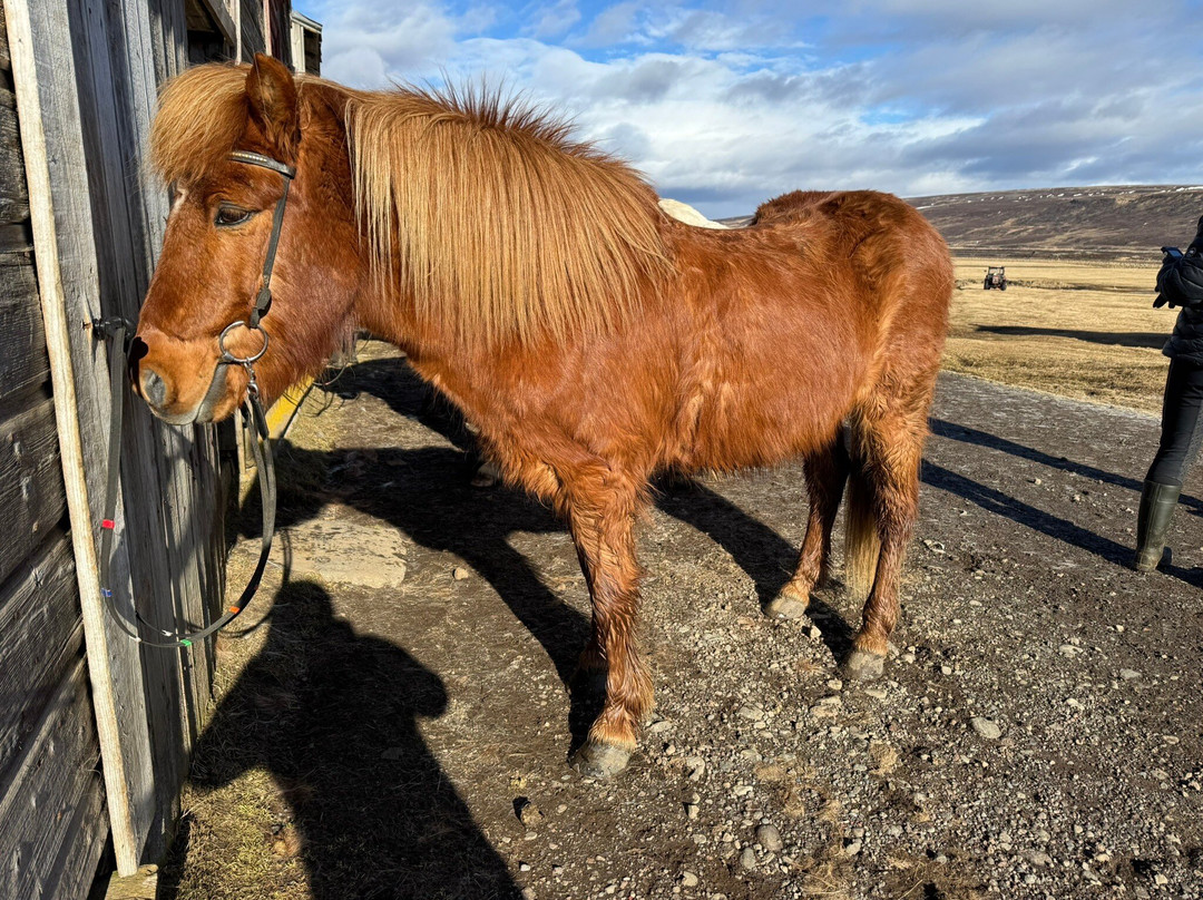 Eyjardalsa-胡萨维克必去景点