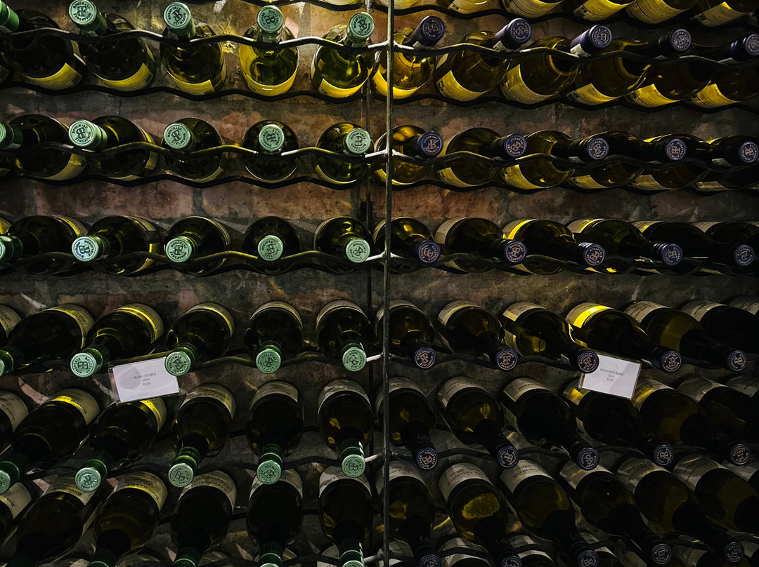 Bouchard Finlayson Winery景点图片