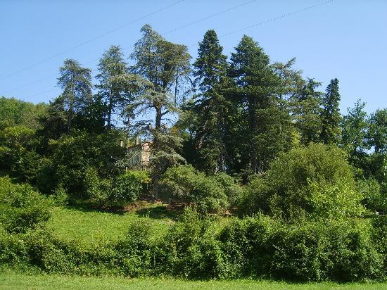 Chambres d'Hotes de Pugnal主图