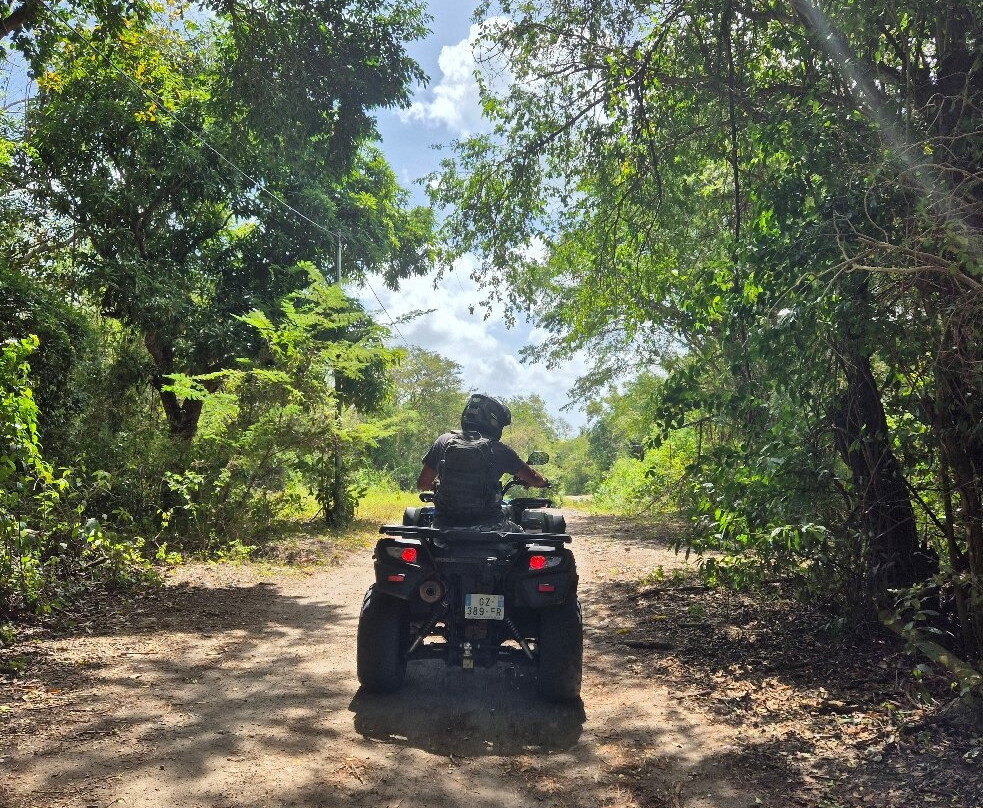 BUGGY Quad Martinique景点图片