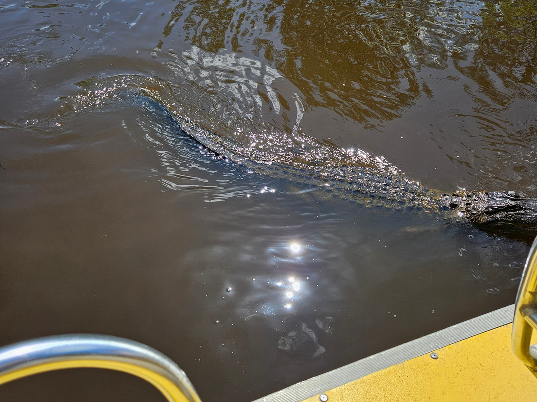 Ragin Cajun Airboat Tours景点图片