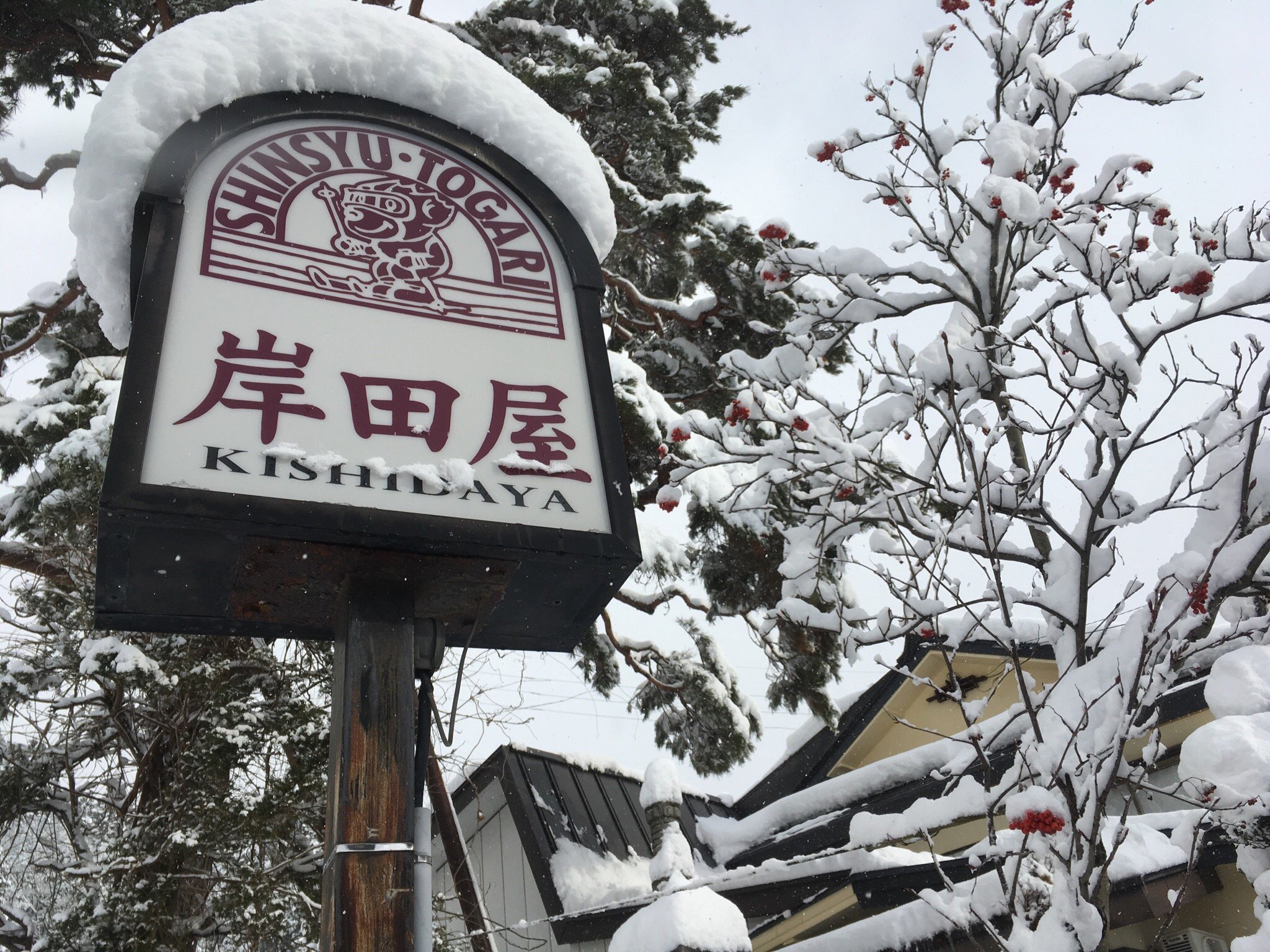 Kishidaya-官方