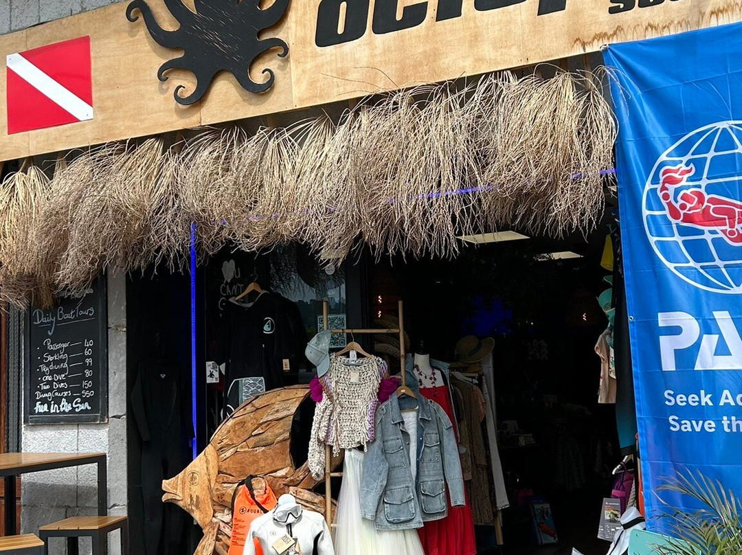 Octopus Mallorca景点图片