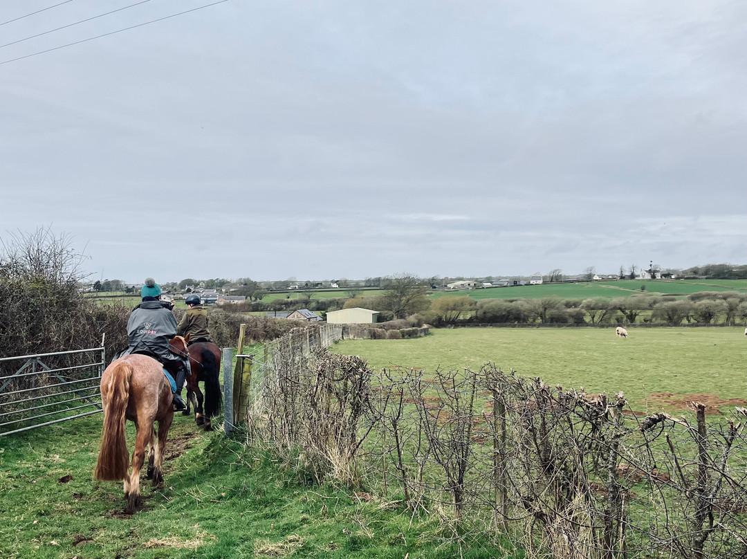 Anglesey Riding Centre景点图片