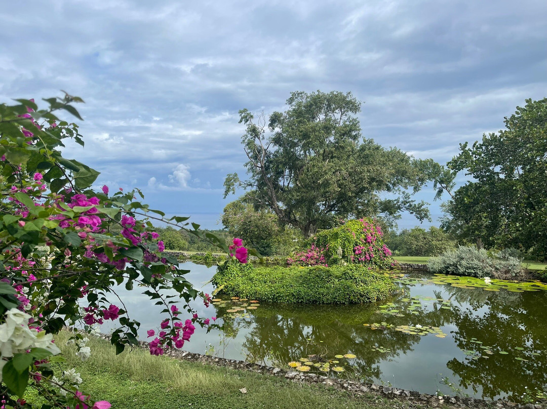 玫瑰堂大宅-罗斯霍尔必去景点