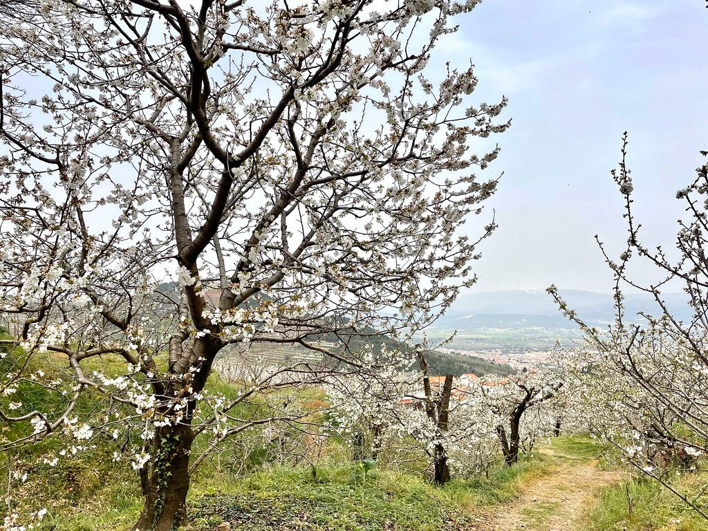Aldeia De Alcongosta景点图片