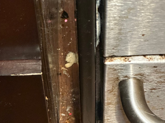 TownePlace Suites by Marriott Detroit Commerce主图