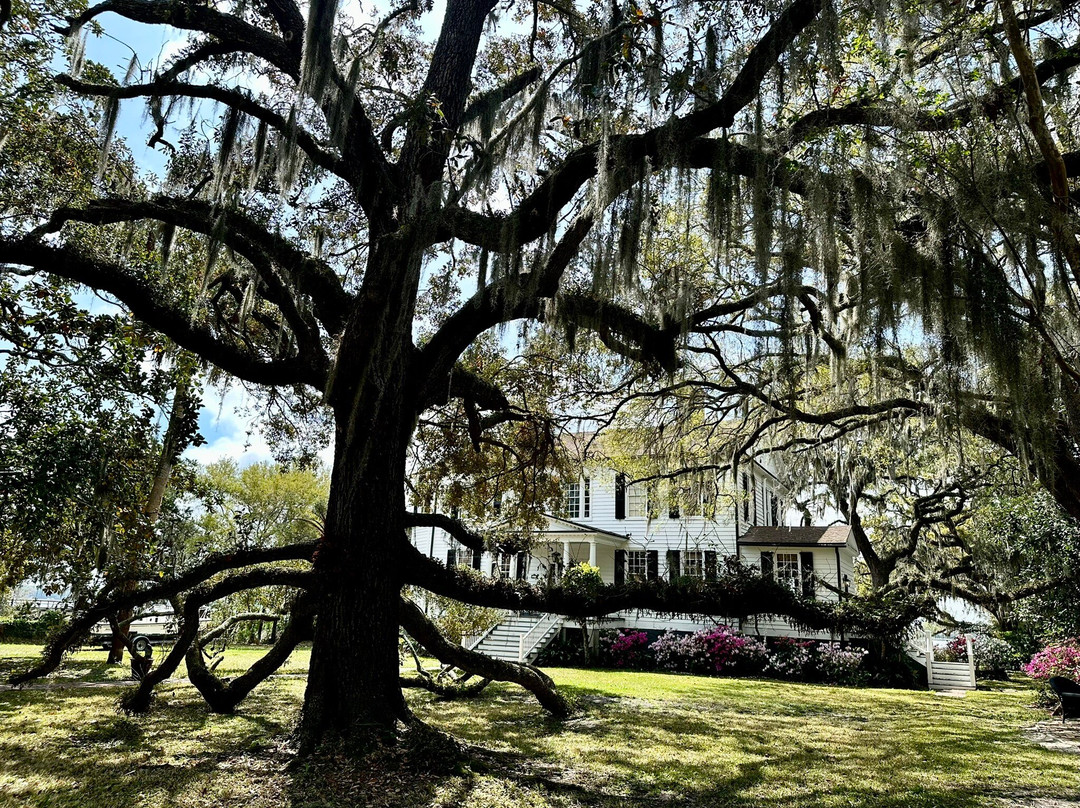 The Point-博福特必去景点