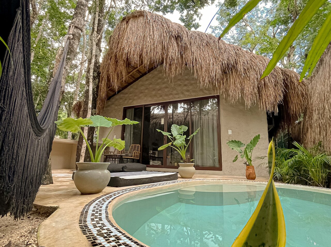 Dos Palmas酒店住宿-The Yellow Nest