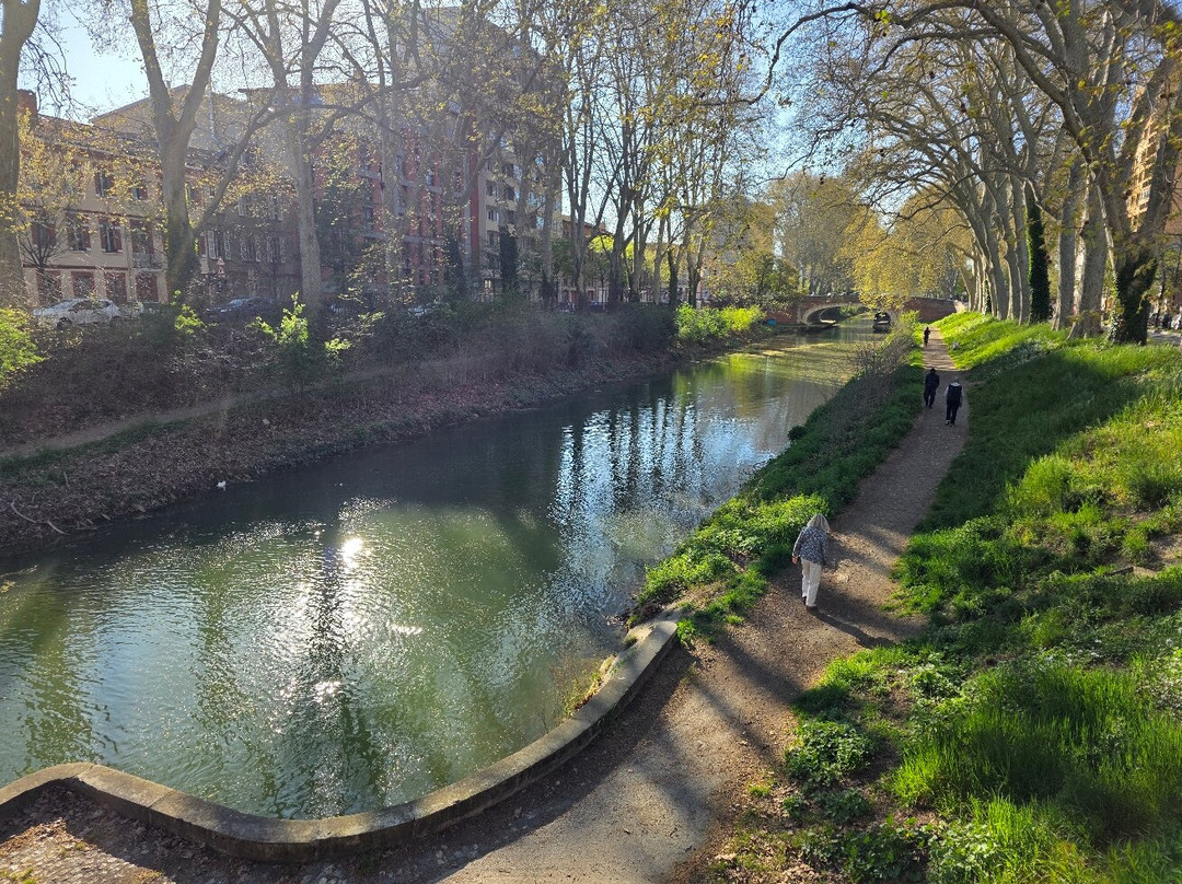 Canal de Brienne (Le)-图卢兹必去景点