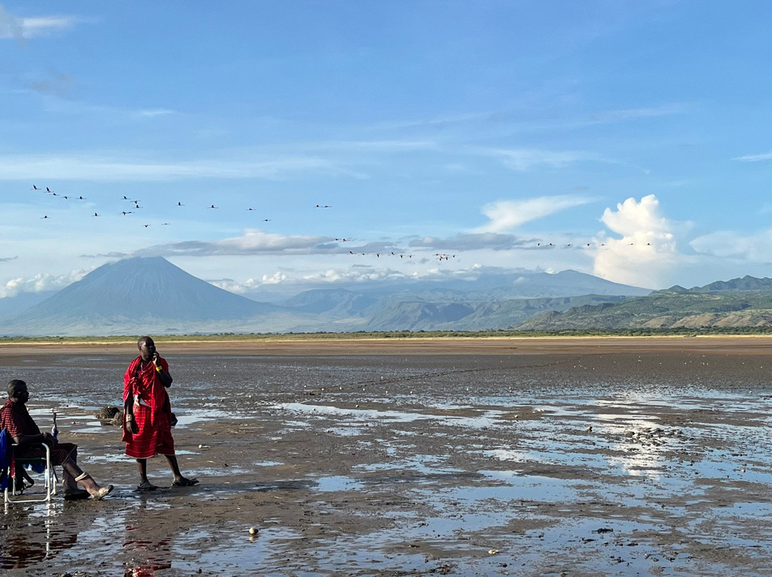 Great View Adventure-阿鲁沙必去景点