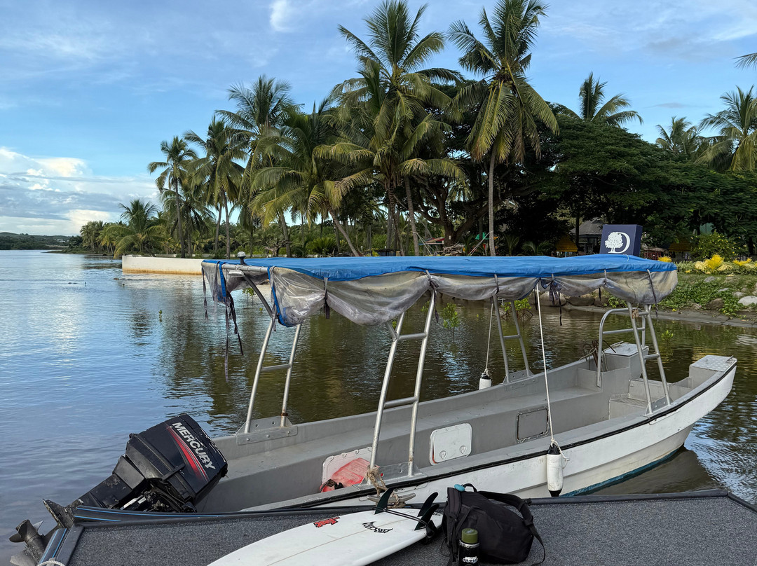 Brothers Surf Tours-纳迪市必去景点