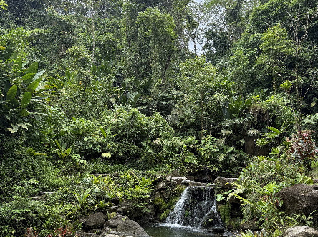 Kurú Natural Springs景点图片