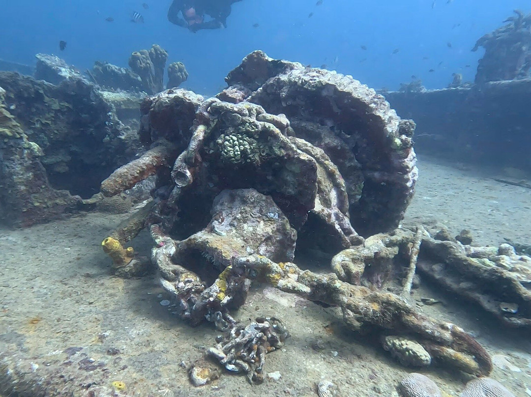 Scuba West Indies - Grenada景点图片